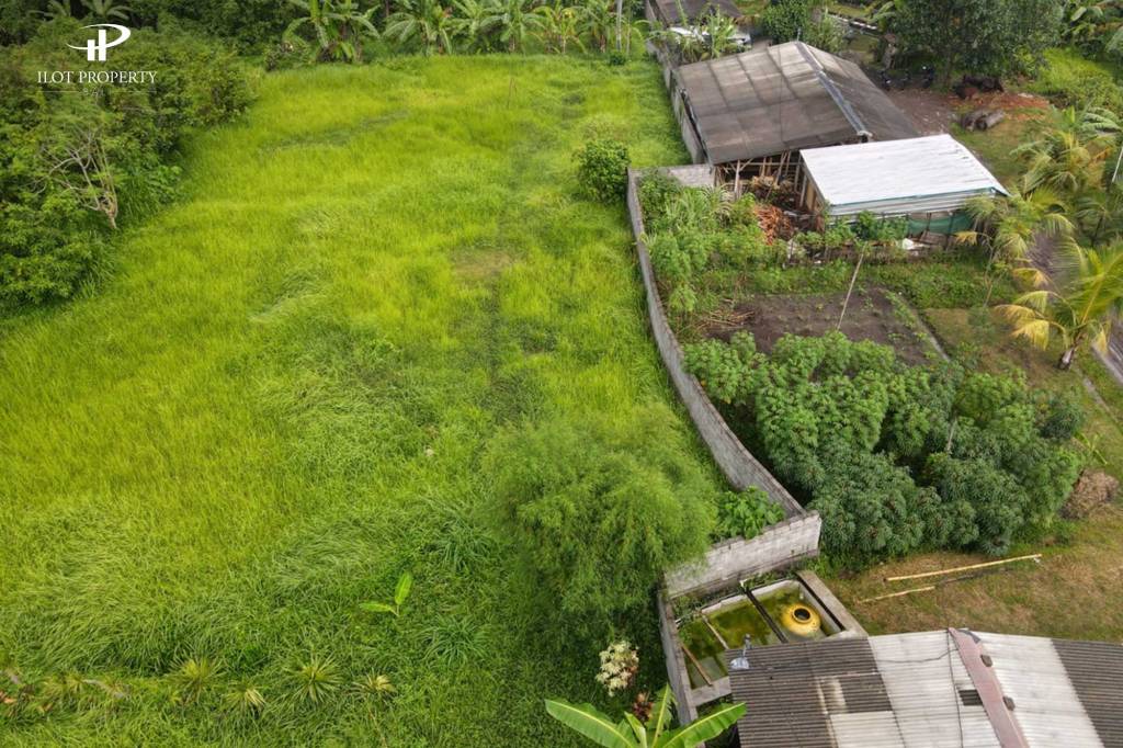We analyze and select the best land