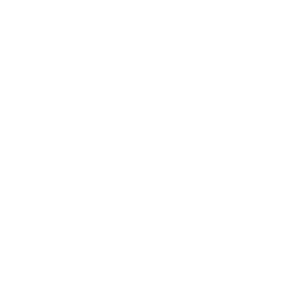 Bali Villa Realty logo white transparent