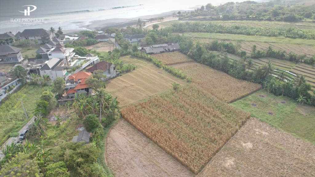 should i buy land or a house